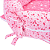 NINHO CAPADOCIA COM MOSQUITEIRO REF3582 ROSA - Imagem 3
