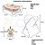 BANHEIRA DOBRAVEL PREMIUM BABY BUBBLY ROSA - Imagem 1