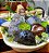 Fonte Pocket Flower - Imagem 1