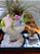 Jardim Zen completo - Imagem 1