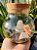 Terrário 07 Chakras - Imagem 1