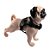 Peitoral para Pet em Nylon M Estampas Sortidas - Imagem 3