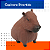 Brinquedo Capivara Antiestresse Infantil: Amasse, Estique e Divirta-se! - Imagem 5