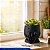 Vaso Pequeno p/ Suculenta Decoração Casa Escritório Planta - Imagem 5
