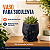 Vaso Pequeno p/ Suculenta Decoração Casa Escritório Planta - Imagem 2