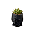 Vaso Pequeno p/ Suculenta Decoração Casa Escritório Planta - Imagem 1