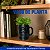 Vaso de Planta Flor Redondo Design Texturizado Dia dos Pais Planta Pequena - Imagem 5