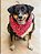 Bandana Rosa Oncinha Para Pets - Imagem 3