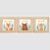Kit com 3 Quadros Infantis Personalizados tema Animais - Seja Feliz - Imagem 1