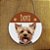 Placa Decorativa com nome para Pet - cachorro - Imagem 6