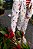 Blazer clericot - Imagem 7