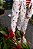 Calça tradicional clericot - Imagem 5