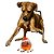 Brinquedo Dispenser Petisco Ovo Buddy Toys - Petvipi - Imagem 1