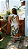 Vestido Trans Selva - Imagem 4