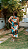 Vestido Trans Tropical - Imagem 3