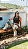 Calça Tropical - Imagem 4