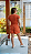 Shorts Fernanda - Imagem 3