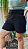 Shorts black - Imagem 3