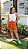 Body Branco - Imagem 1