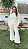 Conjunto Talita - Imagem 5