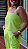 Conjunto Zoe - Imagem 2