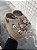 Crocs urso kids 🐻 - Imagem 2