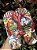 Havaianas Mickey 2026 - Imagem 2