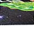 Tapete de Porta Estampa Rick and Morty 40x60 - Imagem 2