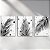 Kit com 3 Placas Decorativas Vinílico Sem Moldura Estampa Folhagens PB - Imagem 1