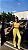 Calça Flow - Butter - Imagem 1