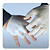 GENERACELL BIOCELULOSE MEMBRANA HIDRATADA 10CM X 10CM - 1 unidade - Imagem 4