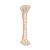 PATRICK TA - Major Sculpt Dual-Ended Sculpting Brush - Imagem 2