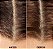 The Refillable Dry Shampoo – Crown Affair - Imagem 4