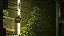 Stray Xbox One - Xbox Series - Mídia Digital - Imagem 5