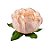 Forminha para Doces Finos - Bela Creme Queimado - 30 unidades - Decora Doces - Rizzo - Imagem 1