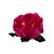 Forminha para Doces Finos - Bela Pink - 30 unidades - Decora Doces - Rizzo - Imagem 1
