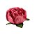 Forminha para Doces Finos - Bela Rosa Seco 2 - 30 unidades - Decora Doces - Rizzo - Imagem 1