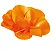 Forminha para Doces Finos - Copo de Leite Laranja 30 unidades - Decora Doces - Rizzo Festas - Imagem 1
