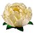 Forminha para Doces Finos - Bela Marfim - 30 unidades - Decora Doces - Rizzo - Imagem 1