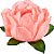 Forminha para Doces Finos - Bela Pêssego - 30 unidades - Decora Doces - Rizzo - Imagem 1