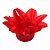 Forminha Para Doces Finos - Estrela do Mar Vermelho - 20 unidades - Decora Doces - Rizzo - Imagem 1