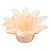 Forminha Para Doces Finos - Estrela do Mar Creme - 20 unidades - Decora Doces - Rizzo - Imagem 1