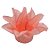 Forminha Para Doces Finos - Estrela do Mar Pêssego - 20 unidades - Decora Doces - Rizzo - Imagem 1