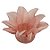 Forminha Para Doces Finos - Estrela do Mar Nude - 20 unidades - Decora Doces - Rizzo - Imagem 1
