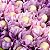Forminha para Doces Finos - Tulipa - Tons Pin Art - Vinho/Cassis/Lilas - 25 unidades - Maxiformas - Rizzo - Imagem 3