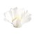Forminha para Doces Finos - Cheri - Monolucido Branco - 50 unidades - Maxiformas - Rizzo - Imagem 1