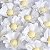 Forminha para Doces Finos - Cheri - Monolucido Branco - 50 unidades - Maxiformas - Rizzo - Imagem 3