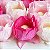 Forminha para Doces Finos - Adelle - Tons Pint Art - Rosa - 25 unidades - Maxiformas - Rizzo - Imagem 3