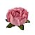 Forminha Para Doces Finos - Rosa Maior - Rosa Seco Clarissimo - 30 unidades - Decora Doces - Imagem 1