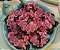 Forminha para Doces Finos - Rosa Maior Rosa Seco 2 40 unidades - Decora Doces - Rizzo Festas - Imagem 2